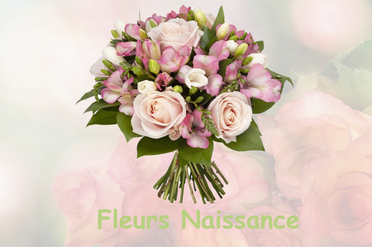 fleurs naissance VIGNOT