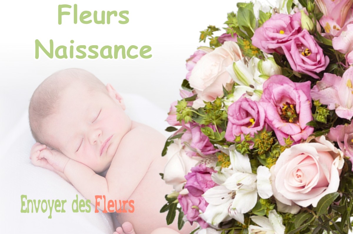 lIVRAISON FLEURS NAISSANCE à VIGNOT